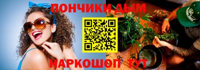 шишки Брянск