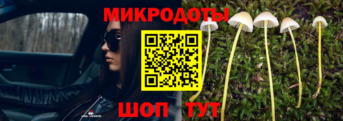Прохладный  Галлюциногенные грибы Psilocybe  Галлюциногенные грибы мухоморы  Вход с VPN 