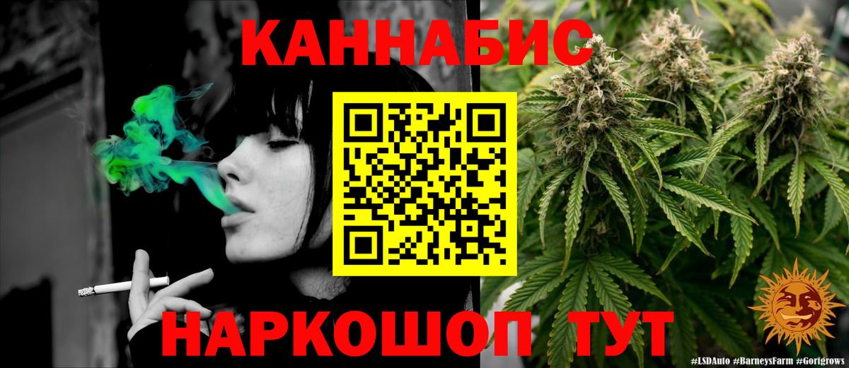 Бошки Шишки план Прохладный